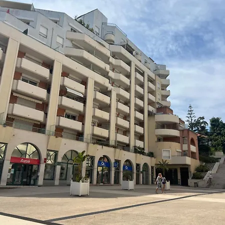 La Terrasse De Palais Des Arts アパート ニース